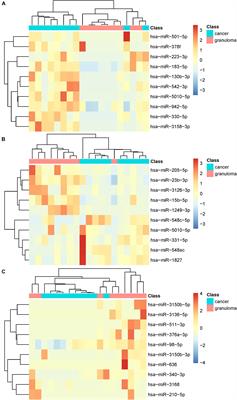 Evaluation of Plasma Extracellular Vesicle MicroRNA Signatures for Lung Adenocarcinoma and Granuloma With Monte-Carlo Feature Selection Method